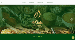 Desktop Screenshot of madanlico.com